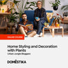 Home Styling and Decoration with Plants