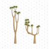 Trees & Plants Pack 01