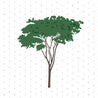 Trees & Plants Pack 01