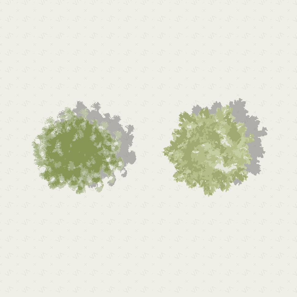 Vector Plan Trees + Shadows – Learn Architecture Online