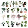 Mega Vector Pack: People, Plants & Animals (220 Figures)