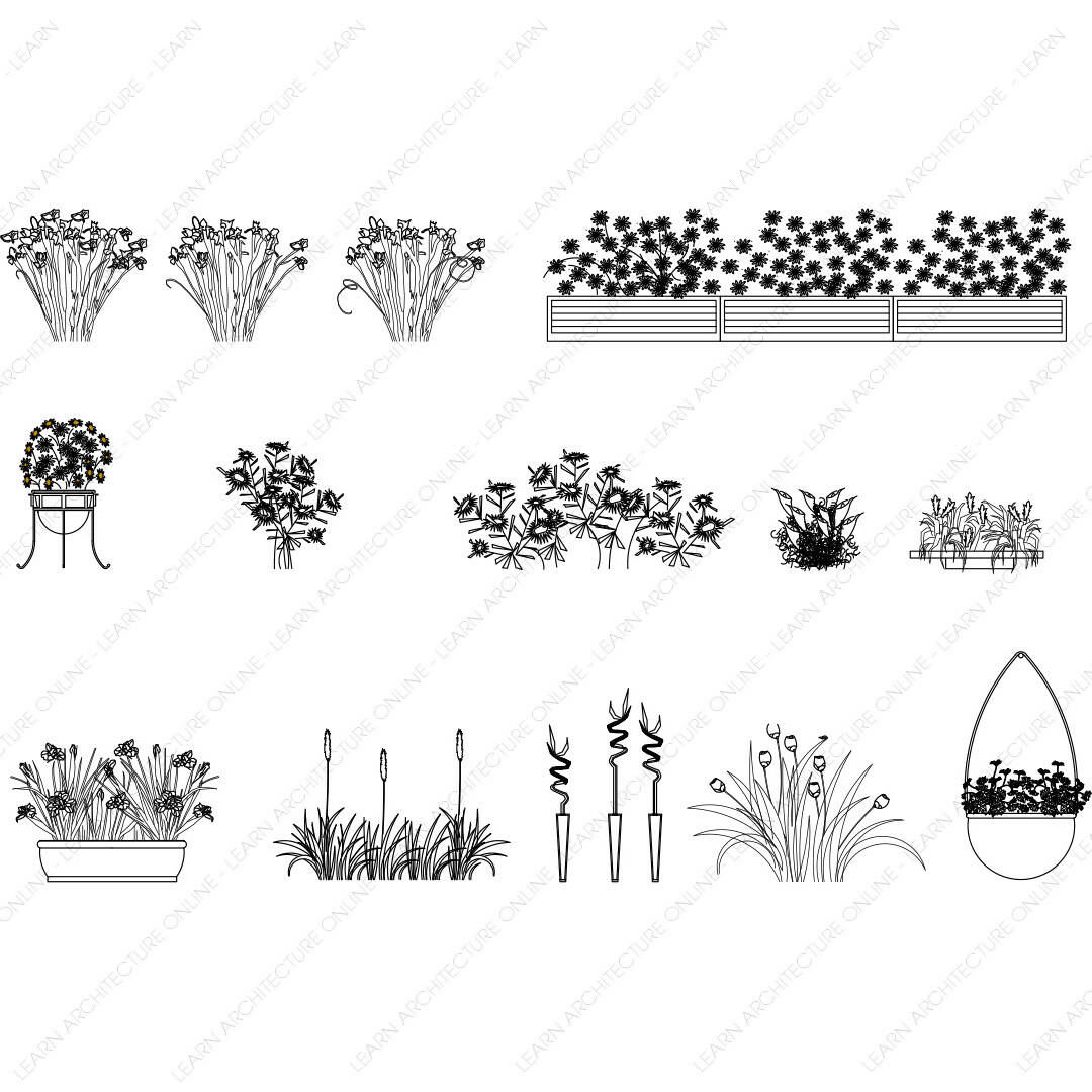 CAD Flowers | Learn Architecture Online