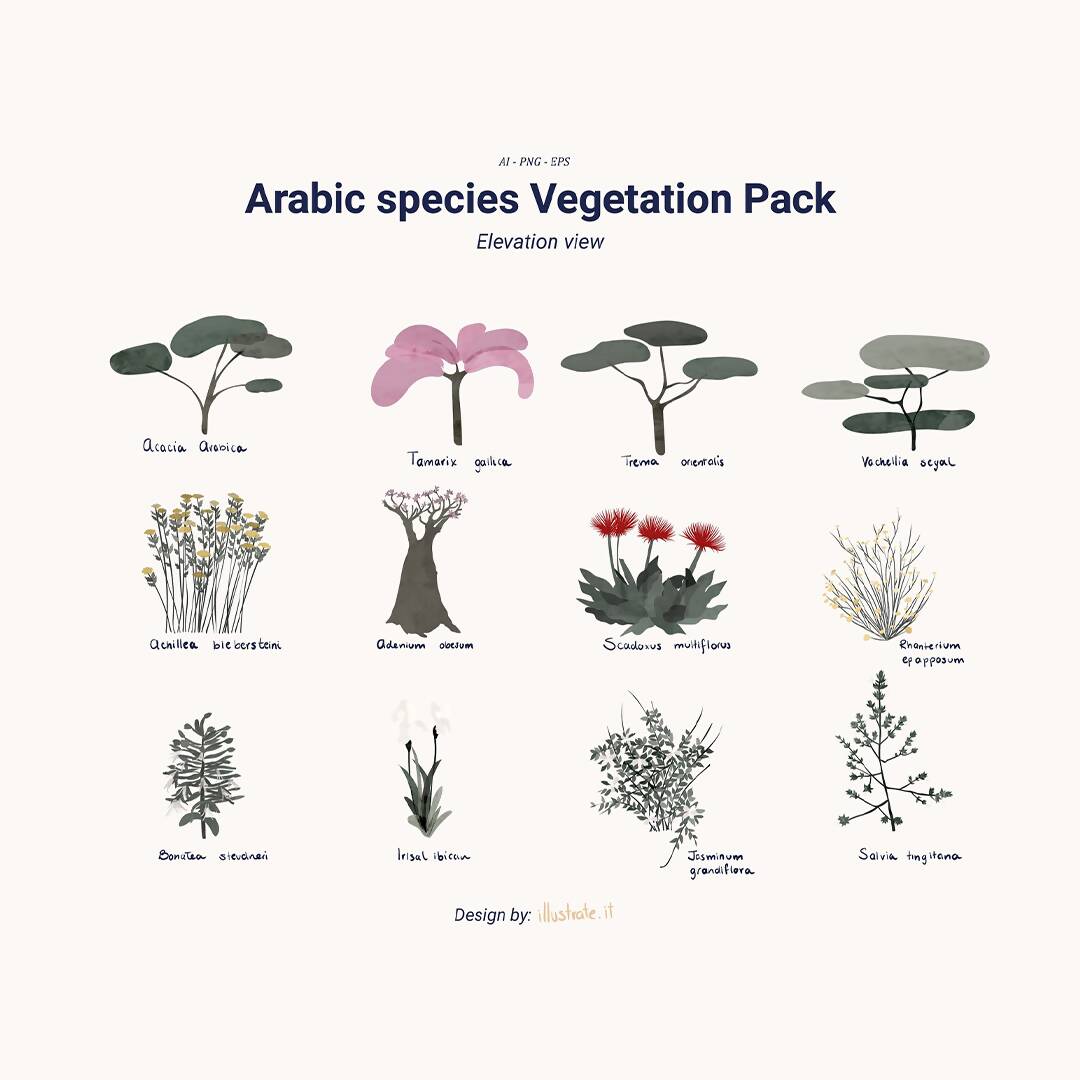 Arabic Species Vegetation Vector Pack- Set Of 12 Vector Trees Illustration — cutout pack, preview 1 of 4