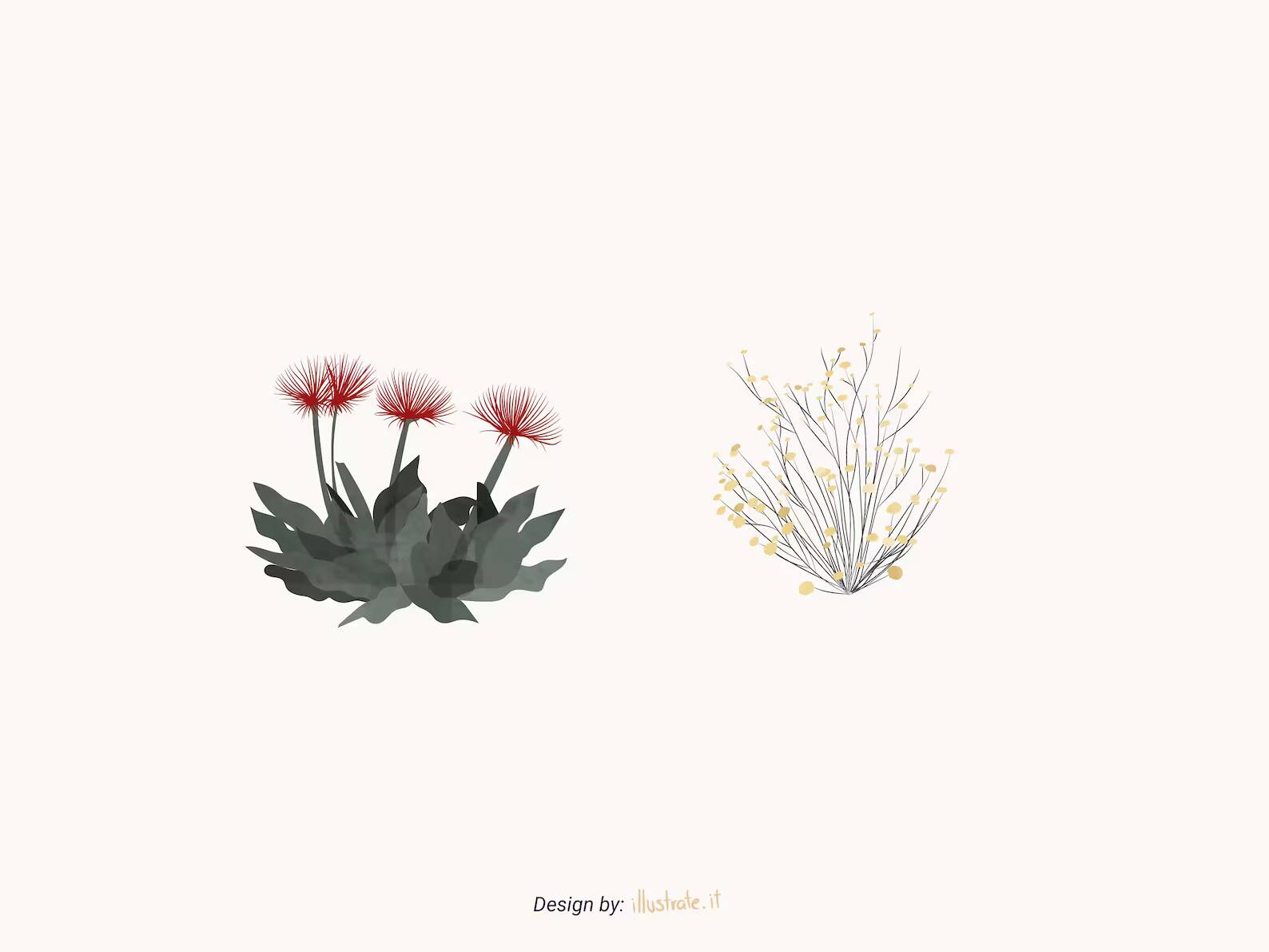 Arabic Species Vegetation Vector Pack- Set Of 12 Vector Trees Illustration — cutout pack, preview 2 of 4