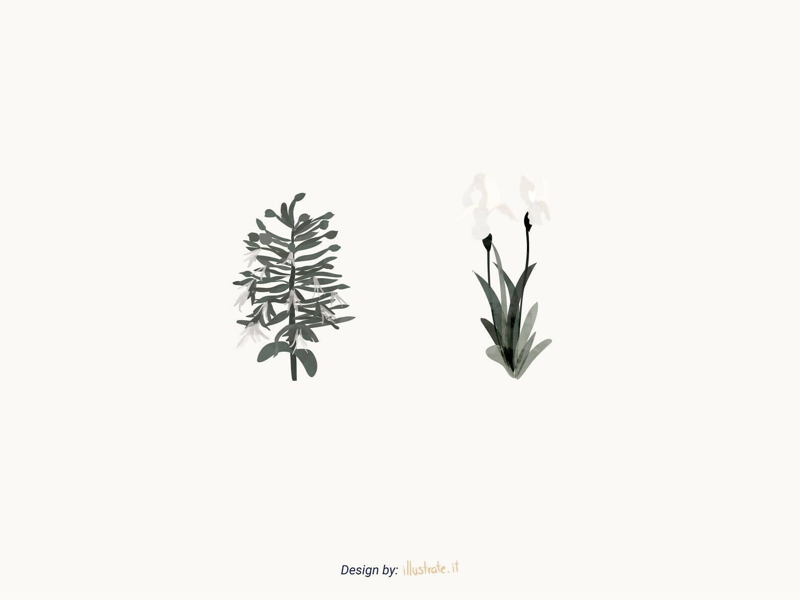 Arabic Species Vegetation Vector Pack- Set Of 12 Vector Trees Illustration — cutout pack, preview 3 of 4