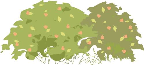 Assorted Trees — cutout pack for architectural visualisation, preview 2 of 5