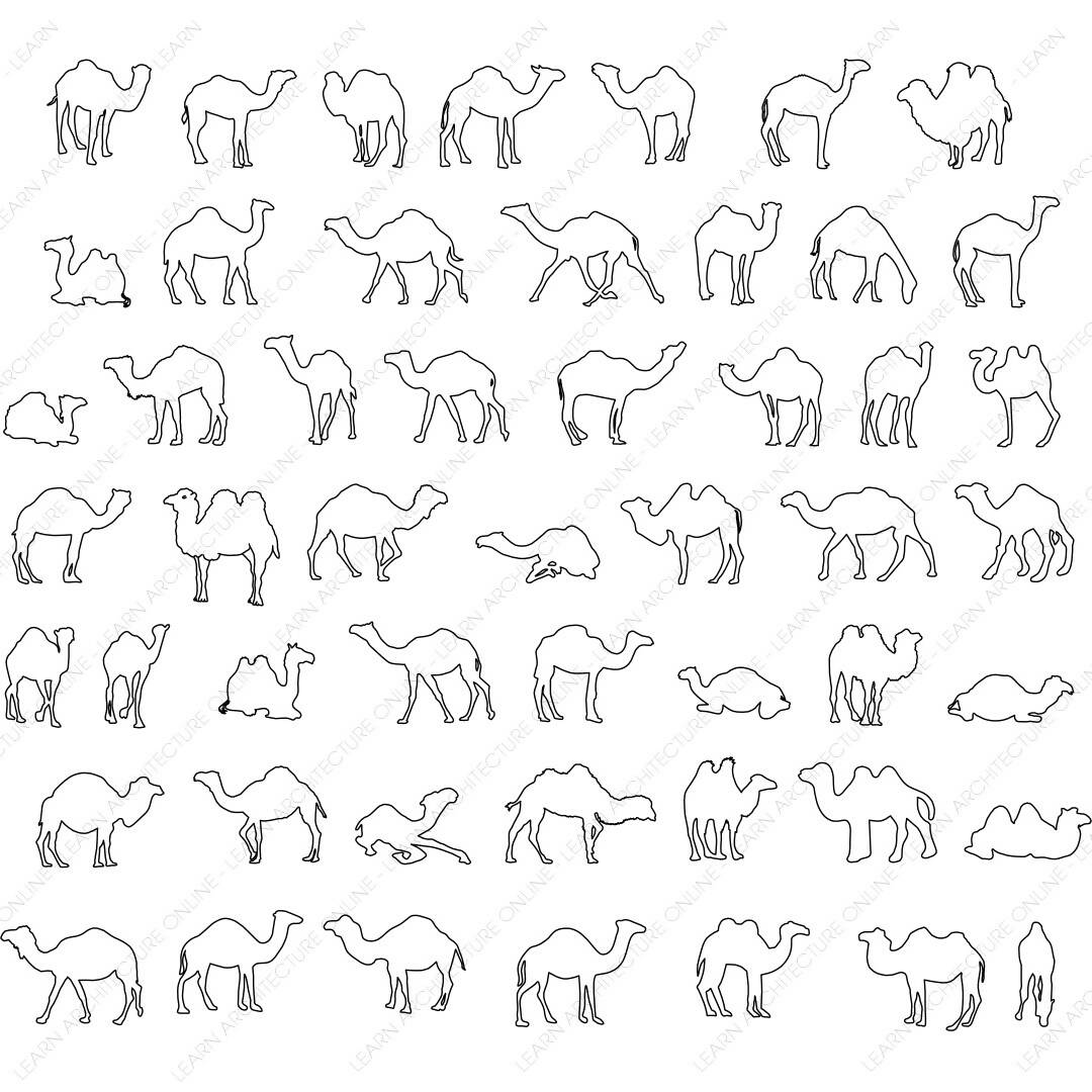CAD Block Camel Dessert — CAD block set for architectural drawings, preview 2 of 2