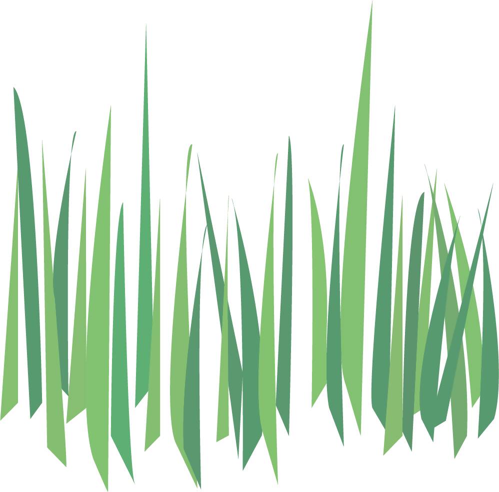 Colorful Grass and Flowers — cutout pack for architectural visualisation, preview 2 of 8