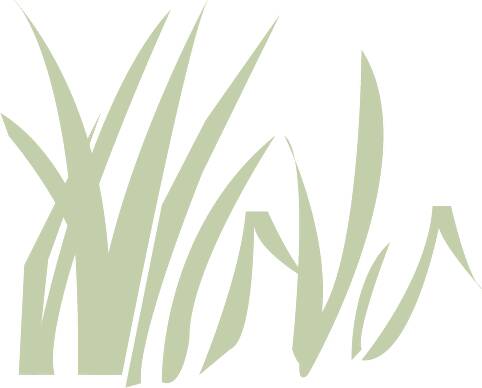 Colorful Grass and Flowers — cutout pack for architectural visualisation, preview 6 of 8