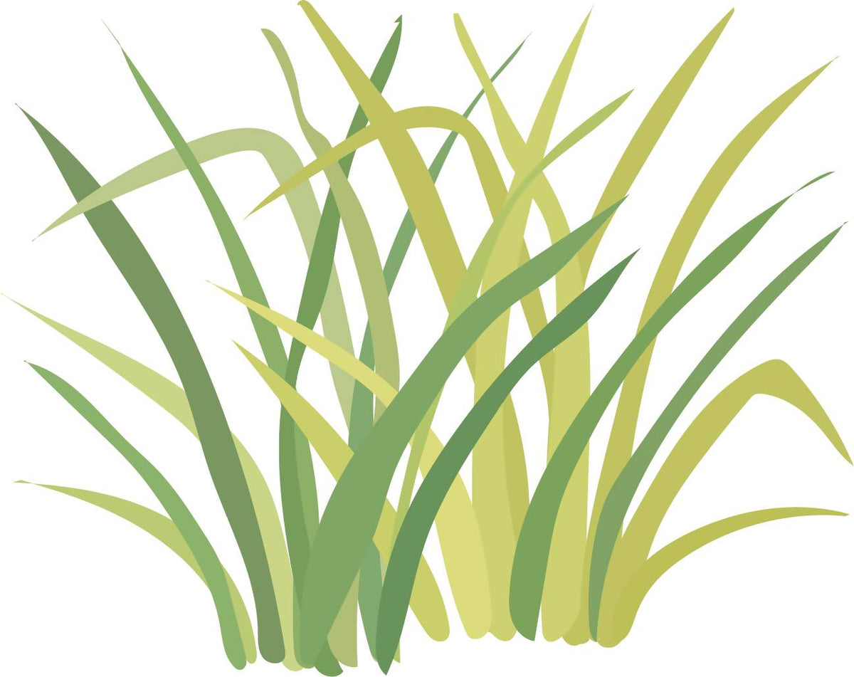 Colorful Grass and Flowers — cutout pack for architectural visualisation, preview 7 of 8