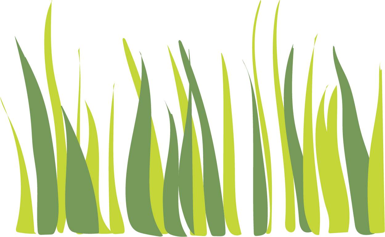 Colorful Grass and Flowers — cutout pack for architectural visualisation, preview 8 of 8