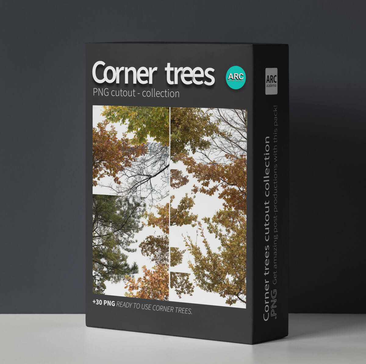 Corner Trees PNG Cutout Collection — cutout pack for architectural visualisation, preview 1 of 3
