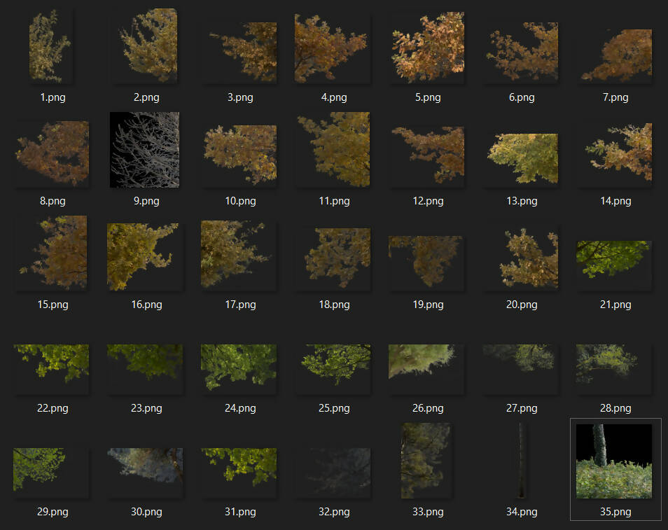 Corner Trees PNG Cutout Collection — cutout pack for architectural visualisation, preview 2 of 3