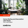 Home Styling and Decoration with Plants