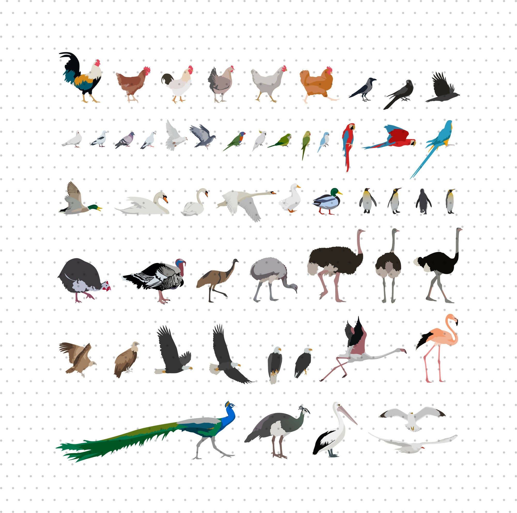 Detailed Birds Mega Pack — cutout pack for architectural visualisation