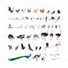 Detailed Birds Mega Pack — cutout pack for architectural visualisation