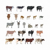 Detailed Cattle Animals Pack