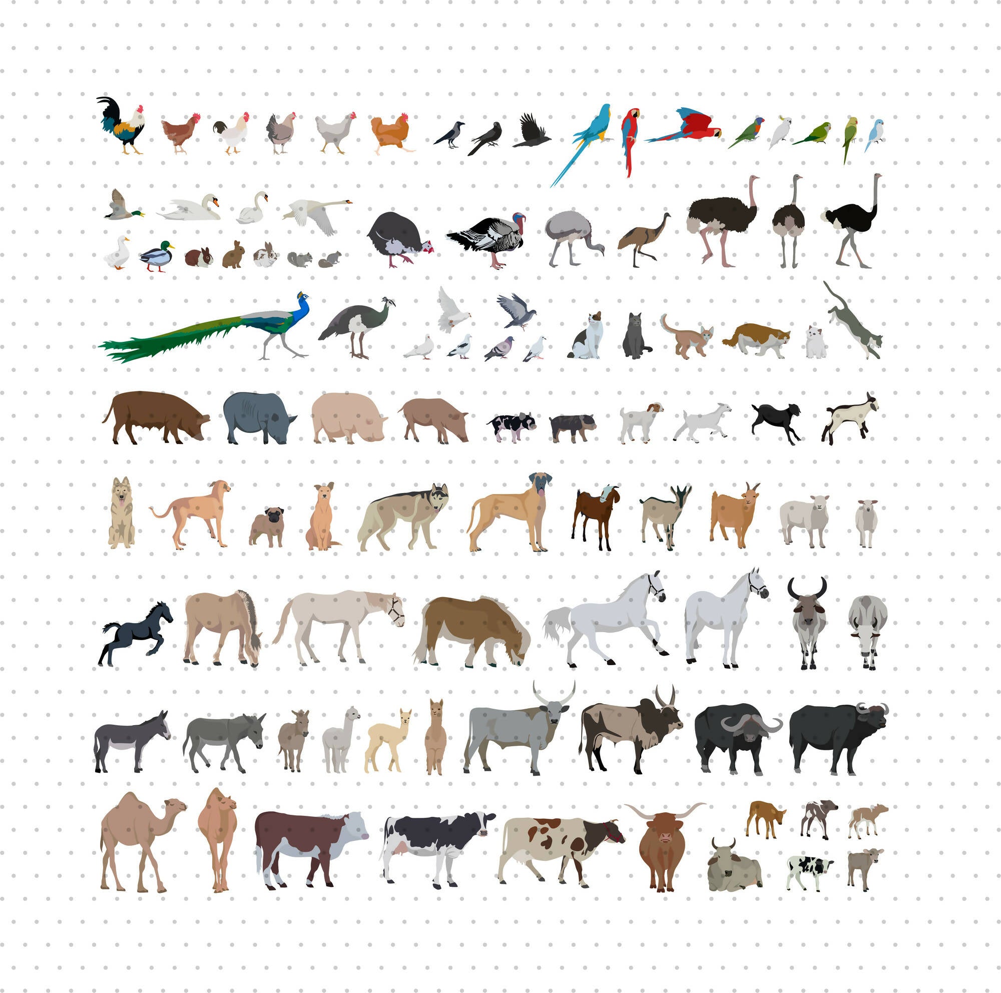 Domestic Animals and Birds Mega Pack — cutout pack for architectural visualisation
