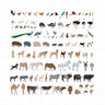 Domestic Animals and Birds Mega Pack — cutout pack for architectural visualisation