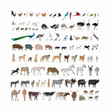 Domestic Animals and Birds Mega Pack