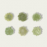 Vector Plan Trees + Shadows