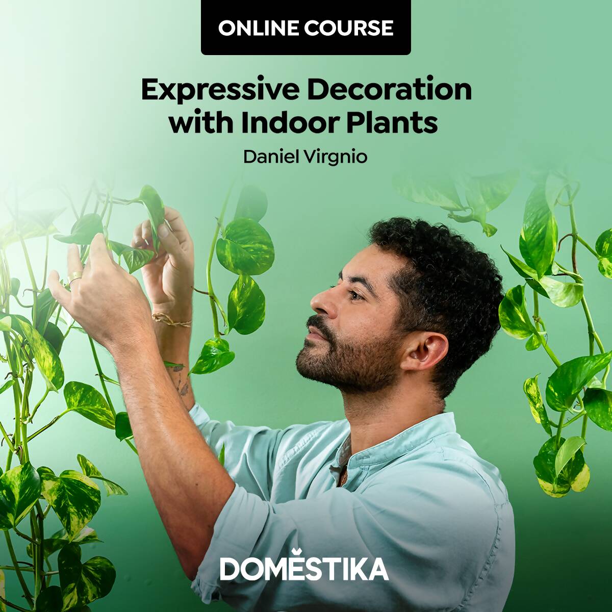 Expressive Decoration with Indoor Plants — video course for architects, preview 1 of 2