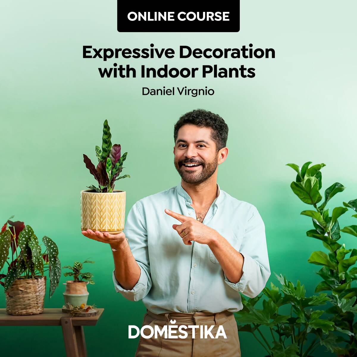 Expressive Decoration with Indoor Plants — video course for architects, preview 2 of 2