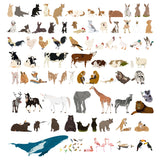 100 Illustrated Animal Cutouts (Vector AI, SVG, PNG)