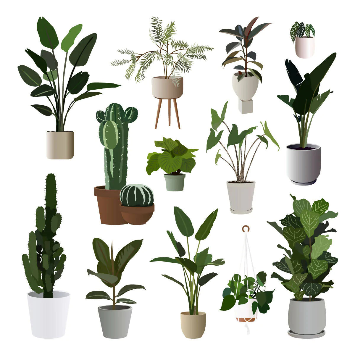 Flat Vector 14 Plants Pack — cutout pack for architectural visualisation