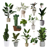 Flat Vector 14 Plants Pack