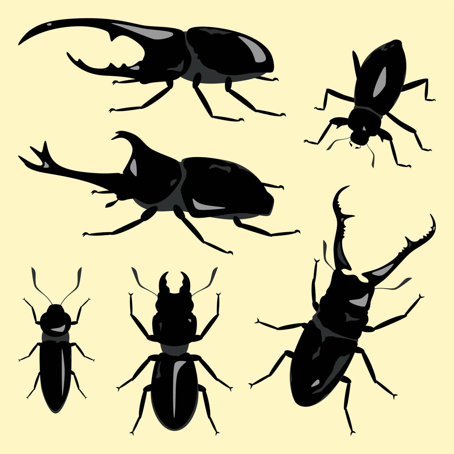 Flat Vector Beetles — cutout pack for architectural visualisation