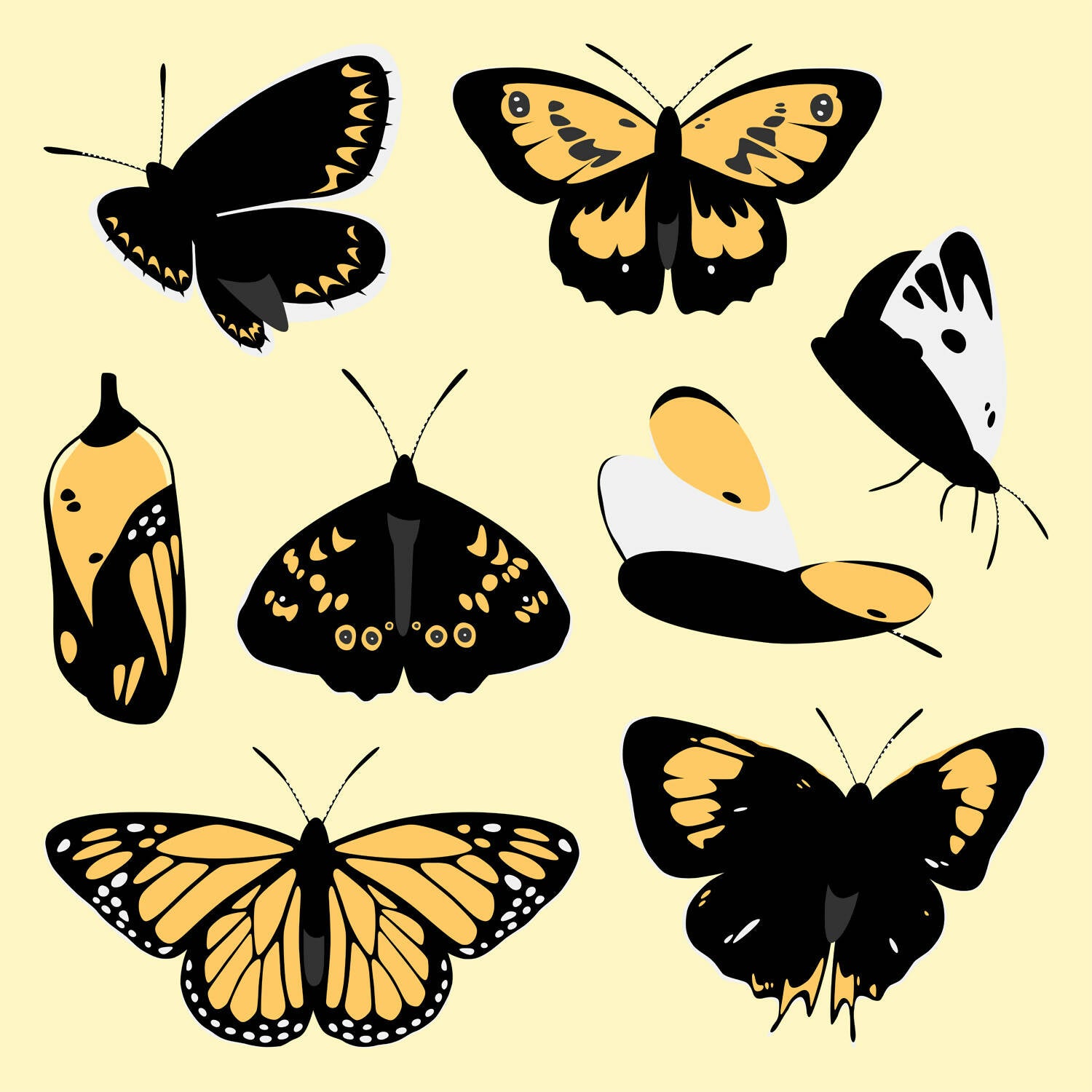 Flat Vector Butterflies — cutout pack for architectural visualisation
