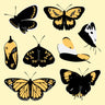 Flat Vector Butterflies — cutout pack for architectural visualisation
