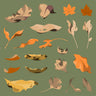 Flat Vector Dry Leaves — cutout pack for architectural visualisation
