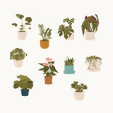 Flat Vector House Plant Illustrations (10 Potted Plants)