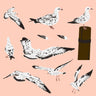 Flat Vector Marine Gulls — cutout pack for architectural visualisation