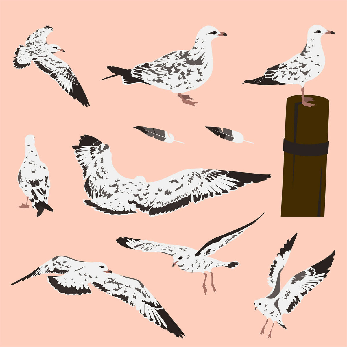 Flat Vector Marine Gulls — cutout pack for architectural visualisation