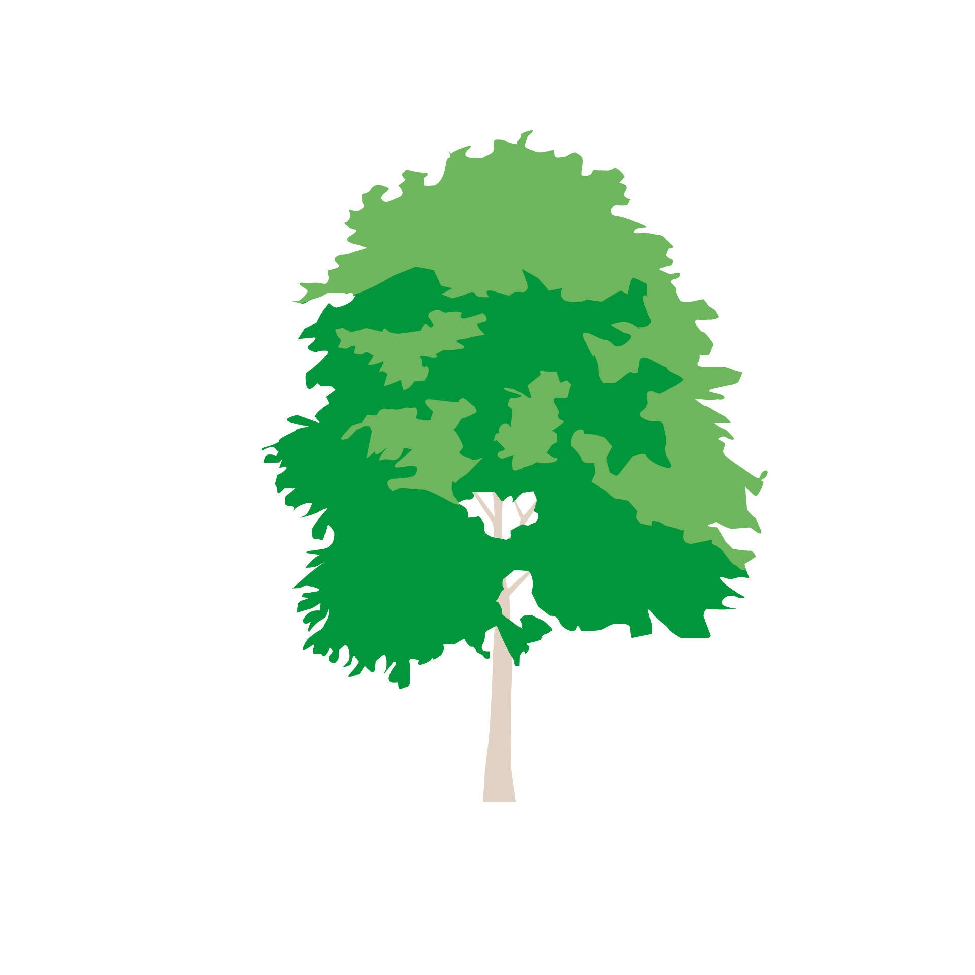 Flat Vector Trees — cutout pack for architectural visualisation, preview 2 of 5