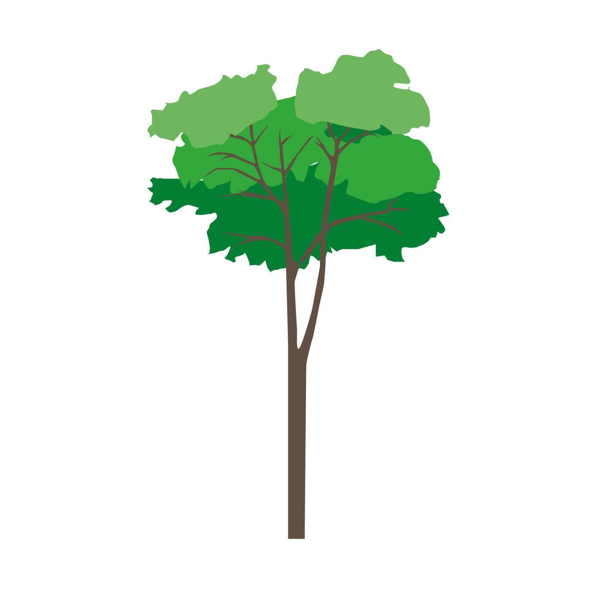 Flat Vector Trees — cutout pack for architectural visualisation, preview 3 of 5