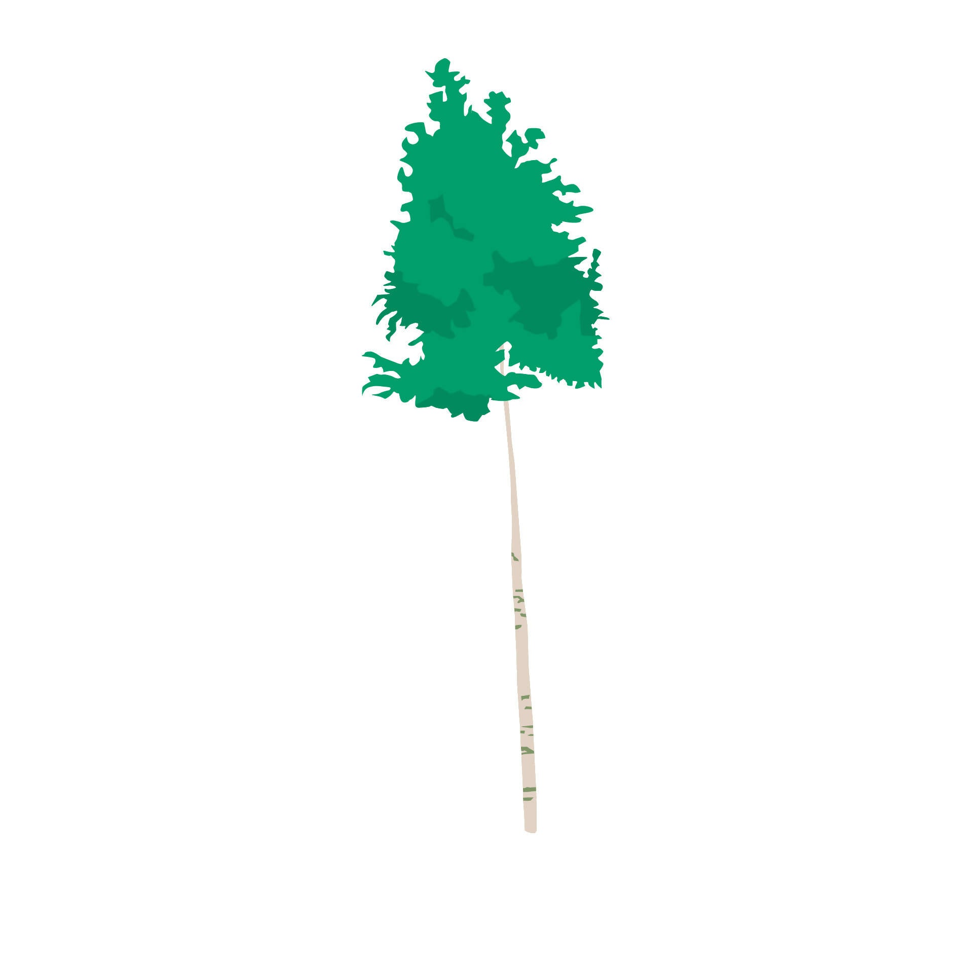 Flat Vector Trees — cutout pack for architectural visualisation, preview 4 of 5