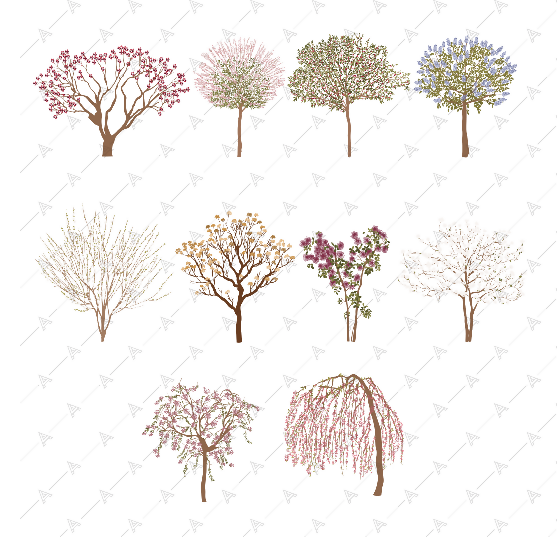 Floral Trees — cutout pack for architectural visualisation, preview 1 of 4
