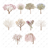 Floral Trees — cutout pack for architectural visualisation, preview 1 of 4