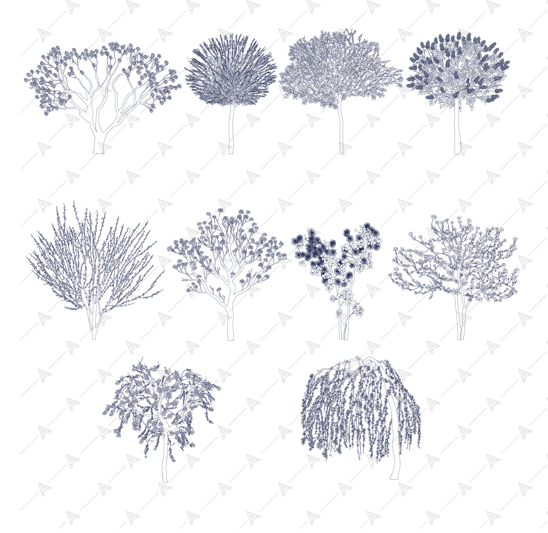 Floral Trees — cutout pack for architectural visualisation, preview 2 of 4