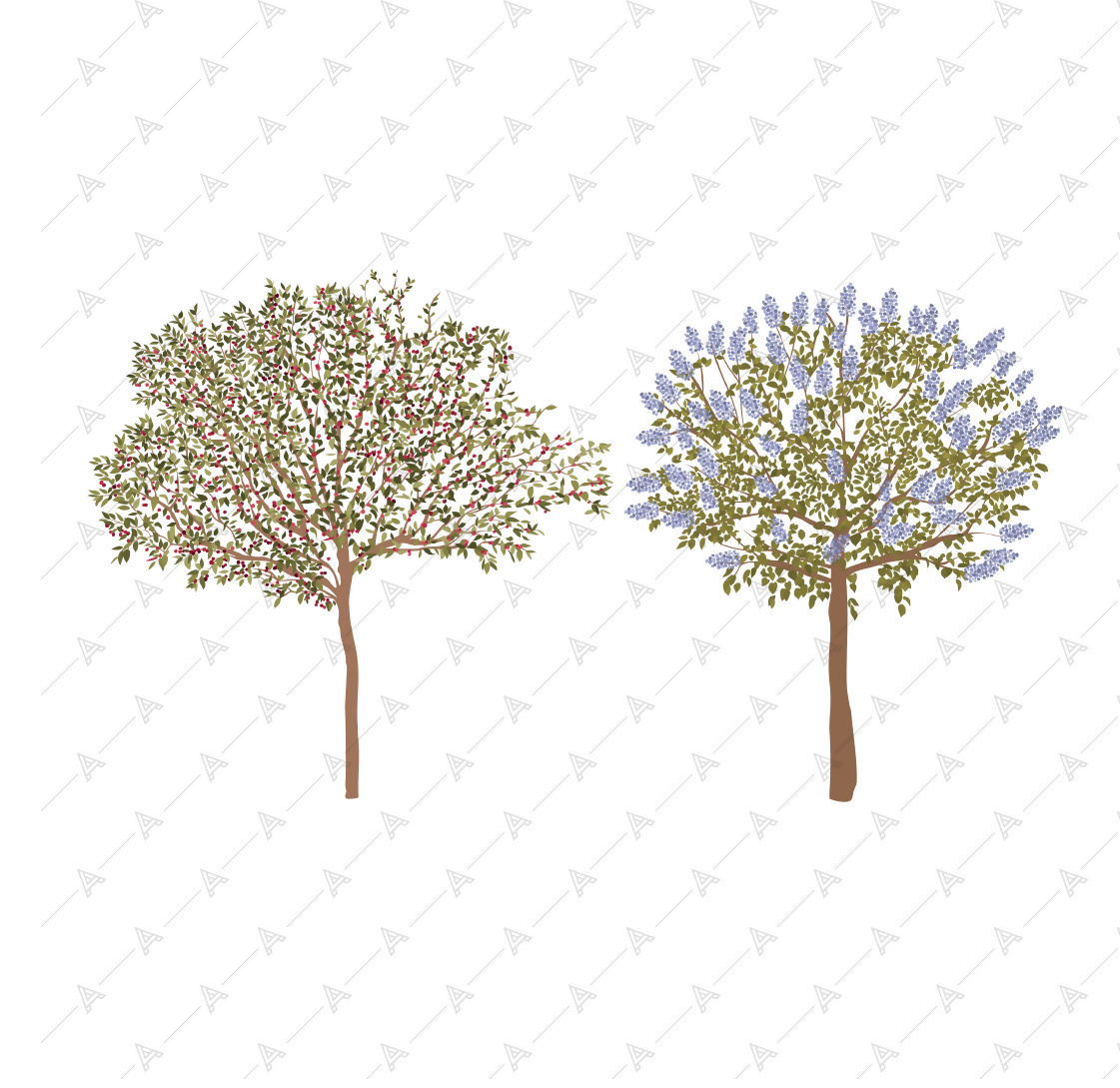 Floral Trees — cutout pack for architectural visualisation, preview 3 of 4