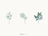 Flat Vector Flower And Leaves Pack