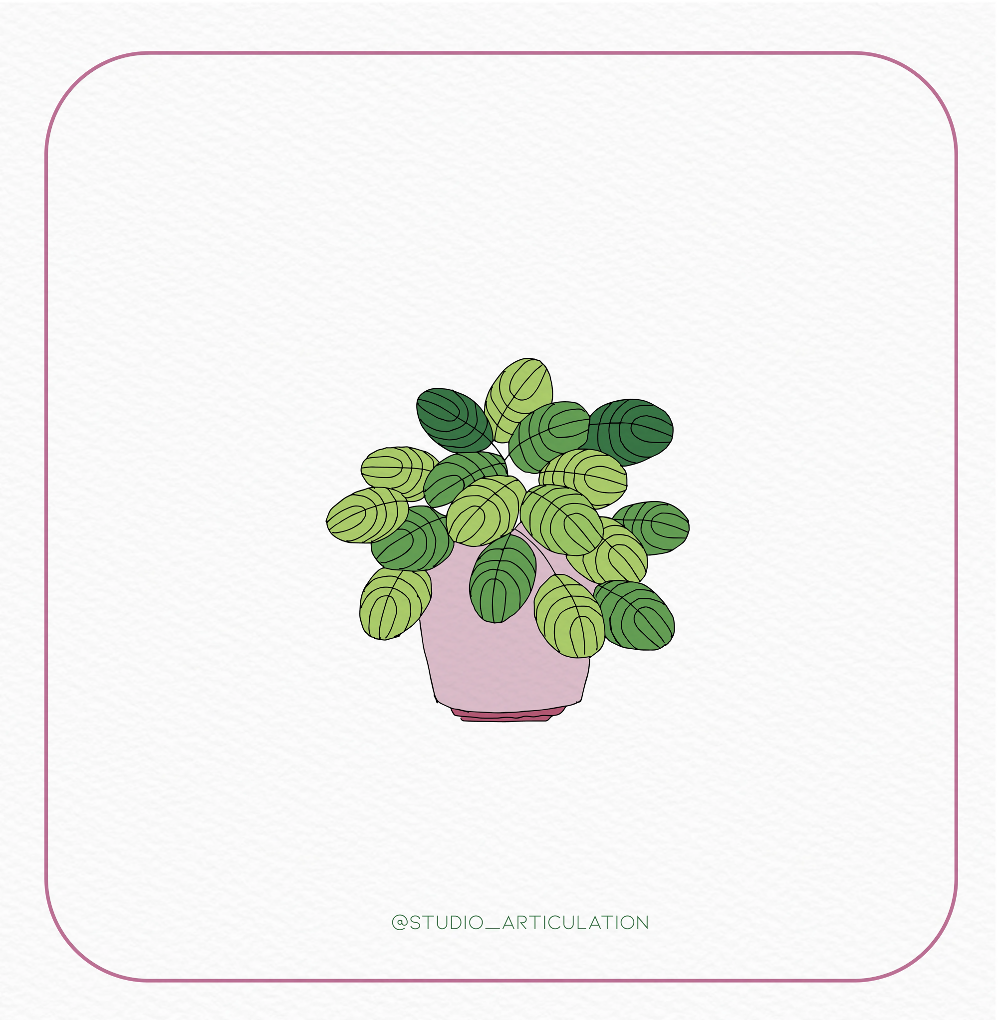 Handmade Vector Indoor Plants — cutout pack for architectural visualisation, preview 5 of 7