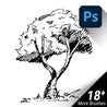 Hand-Drawn / Hand-Sketched / Front View Trees / Photoshop Brushes / SET#02