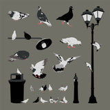 Flat Vector City Pigeons PNG Cutouts (20+ Birds and Street Props)