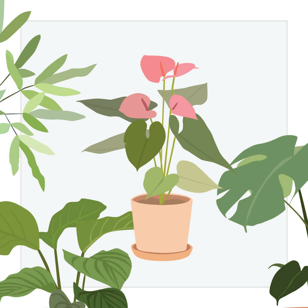 Indoor Plants (20 figures) — cutout pack for architectural visualisation, preview 2 of 3