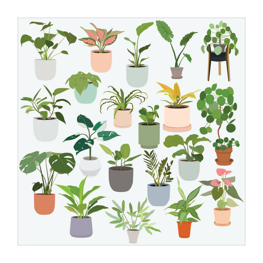 Indoor Plants (20 figures) — cutout pack for architectural visualisation, preview 3 of 3